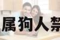 属狗忌畅字 属狗人禁忌用哪些字