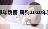 19属狗哪年跳槽 属狗2020年适合跳槽吗