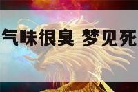 梦见死人房间气味很臭 梦见死人房间气味很臭很臭