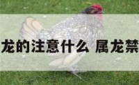 属龙的注意什么 属龙禁忌