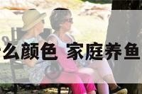 家中养鱼什么颜色 家庭养鱼养什么颜色