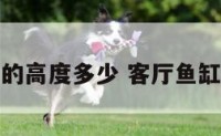 客厅鱼缸的高度多少 客厅鱼缸尺寸多大