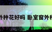卧室窗外种花好吗 卧室窗外种树好吗