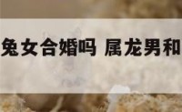 属龙男和属兔女合婚吗 属龙男和属兔女配婚姻好不好