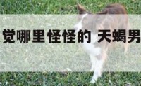 天蝎男说感觉哪里怪怪的 天蝎男说我丑是真的吗