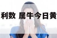 属牛今天的吉利数 属牛今日黄历吉凶宜忌查询