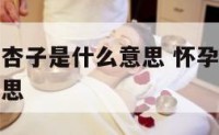 孕妇梦见吃杏子是什么意思 怀孕人梦见吃杏子是什么意思