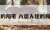 八运入住的阳宅 八运入住的阳宅怎么样
