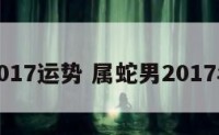 蛇男2017运势 属蛇男2017年运势