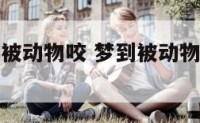 老是梦到到被动物咬 梦到被动物咬是什么意思