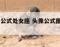 qq头像带公式处女座 头像公式图数学公式女