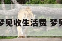 周公解梦梦见收生活费 梦见收好处费
