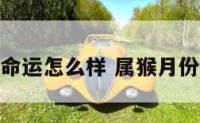 属猴月份命运怎么样 属猴月份命运最好