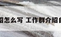 工作群介绍怎么写 工作群介绍自己怎么说