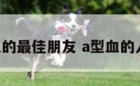 A型血的最佳朋友 a型血的人优点