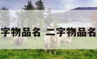 二字物品名 二字物品名称