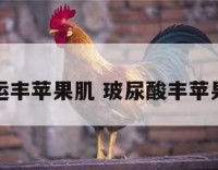 开运丰苹果肌 玻尿酸丰苹果肌
