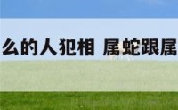 属蛇跟属什么的人犯相 属蛇跟属什么的人犯相