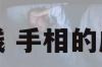 富豪手相成功线 手相的成功线是哪条线