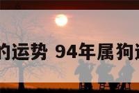 94年属狗的运势 94年属狗运势近几年