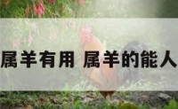 属羊有用 属羊的能人