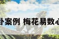 梅花心易断卦案例 梅花易数心易占卜玄机