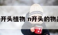 n开头植物 n开头的物品
