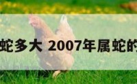 07年属蛇多大 2007年属蛇的人多大