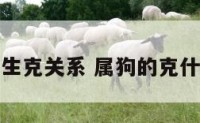 属狗的生克关系 属狗的克什么属相