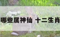 十二生肖中哪些属神仙 十二生肖中谁是神仙