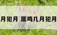 属鸡几月犯月 属鸡几月犯月最严重