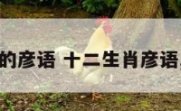 十二生肖的彦语 十二生肖彦语,马奶酒配