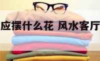 风水上客厅应摆什么花 风水客厅摆放什么植物招财
