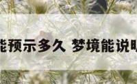 梦境能预示多久 梦境能说明什么