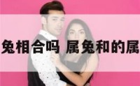 属兔相合吗 属兔和的属相