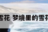 梦境里的雪花 梦境里的雪花什么意思