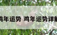 鸡年运势 鸡年运势详解