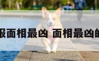 征服面相最凶 面相最凶的人