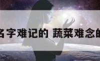 蔬菜名字难记的 蔬菜难念的名字