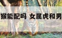 女属虎男属猴能配吗 女属虎和男属猴的相配吗