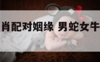 男蛇女牛生肖配对姻缘 男蛇女牛生肖配对姻缘怎么样