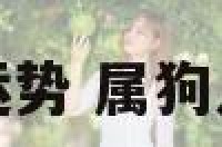 属狗今年50岁运势 属狗人51岁时的运势