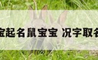 况氏宝宝起名鼠宝宝 况字取名好不好