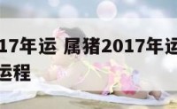 属猪2017年运 属猪2017年运势及运程每月运程