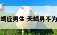 不要外传天蝎座男生 天蝎男不为人知的一面