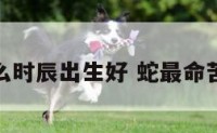 属蛇人什么时辰出生好 蛇最命苦三个时辰