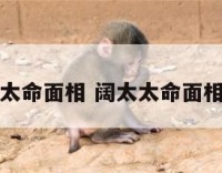 阔太太命面相 阔太太命面相特征
