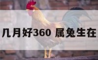 属兔生于几月好360 属兔生在几月份好