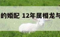 12年属龙的婚配 12年属相龙与啥属相相克