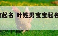 叶姓男宝宝起名 叶姓男宝宝起名属龙7月初四8点生